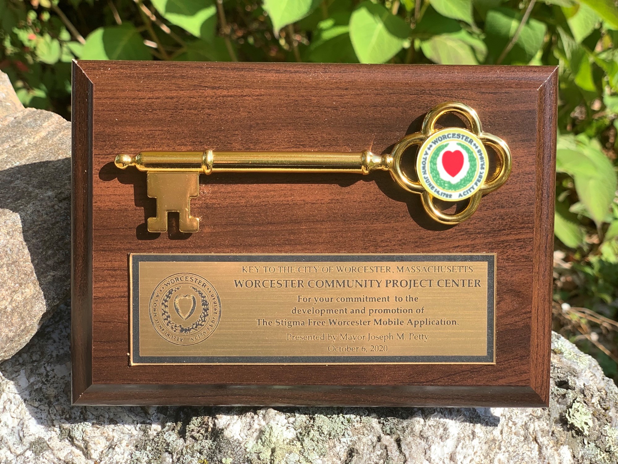 Global Impact at Home Interactive Qualifying Project Supports